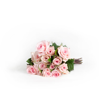 12 Wrapped Classic Pink Roses 12 Wrapped Classic Pink Roses