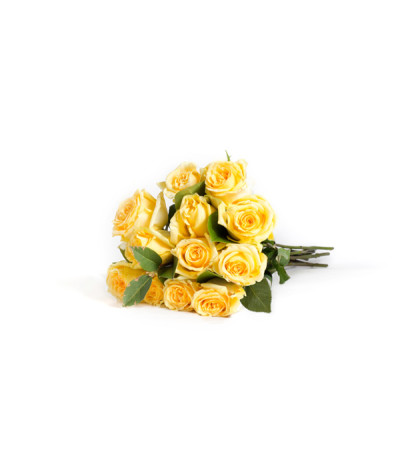 12 Wrapped Classic Yellow Roses 12 Wrapped Classic Yellow Roses