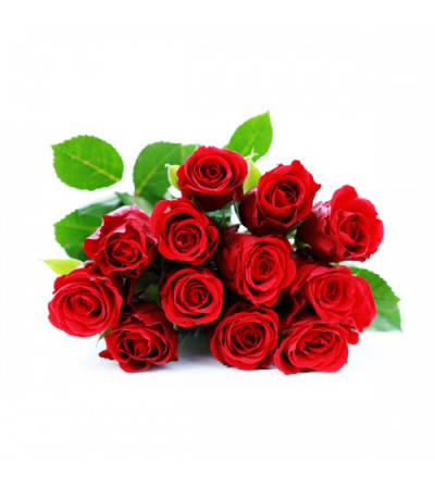 12 Wrapped Classic Red Roses 12 Wrapped Classic Red Roses