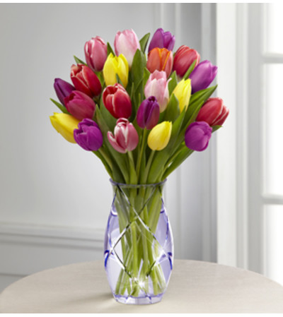 Tulip Vase Tulip Vase
