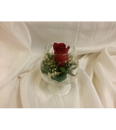 Single Red Rose in bowl Single Red Rose in bowl