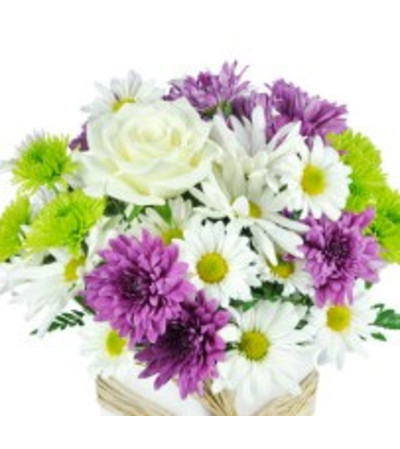 VASE OF WHITE AND PURPLE FLOWERS VASE OF WHITE AND PURPLE FLOWERS