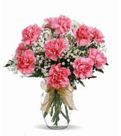 Dozen Carnations Vased Dozen Carnations Vased