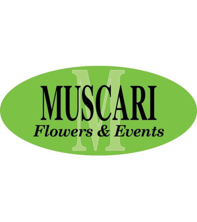 Designer's Specialty Designer's Specialty