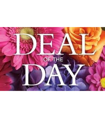 Springtime Deal of the Day Springtime Deal of the Day
