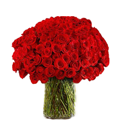 100 Long Stem Red Roses 100 Long Stem Red Roses