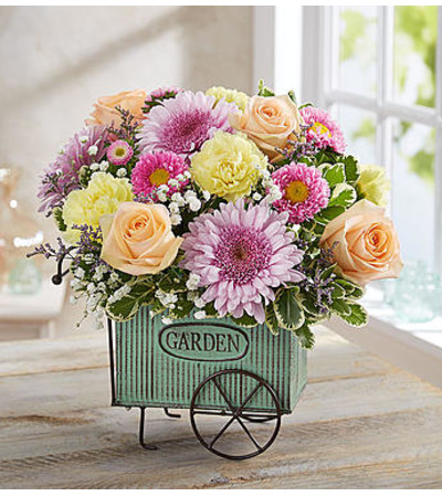 Blooming Garden Blooming Garden