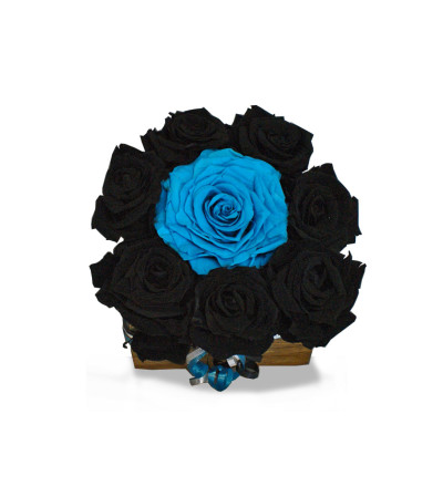 Keep Pounding Panthers Forever Rose Keep Pounding Panthers Forever Rose