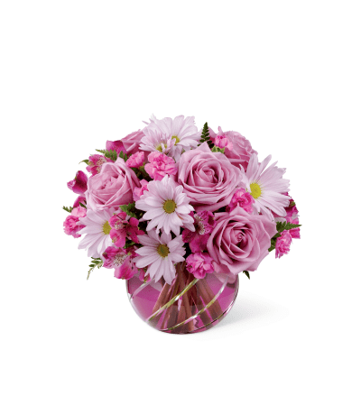 RADIANT BLOOMS RADIANT BLOOMS