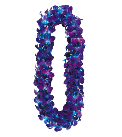 Premium Blue Orchid Lei Premium Blue Orchid Lei