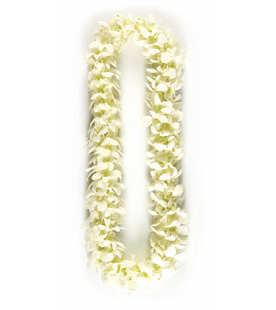 Premium White Lei Premium White Lei