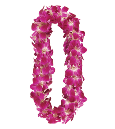 Premium Bombay (purple & white) Lei Premium Bombay (purple & white) Lei