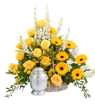 Rays of Sunshine Basket Surround Rays of Sunshine Basket Surround