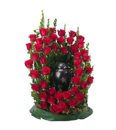 Royal Rose Surround Royal Rose Surround