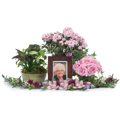 Lovely Lady Tribute Lovely Lady Tribute