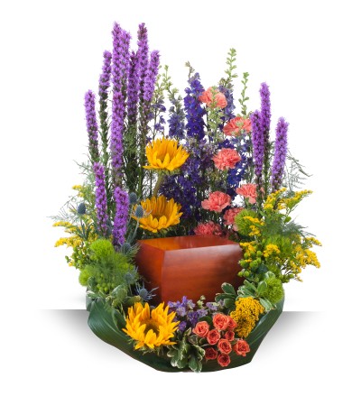 Celebration Garden Surround Celebration Garden Surround