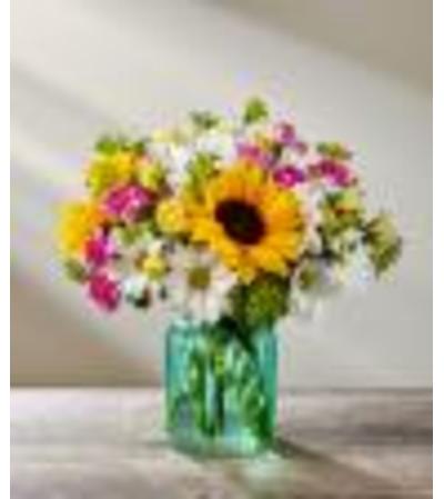 Sunlit meadow by FTD Sunlit meadow by FTD