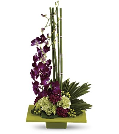 Teleflora Zen Artistry Teleflora Zen Artistry