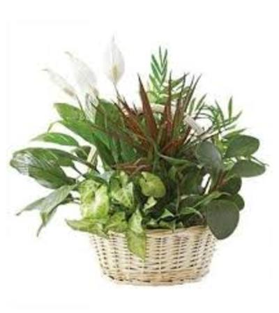 Basket Planter Garden Basket Planter Garden