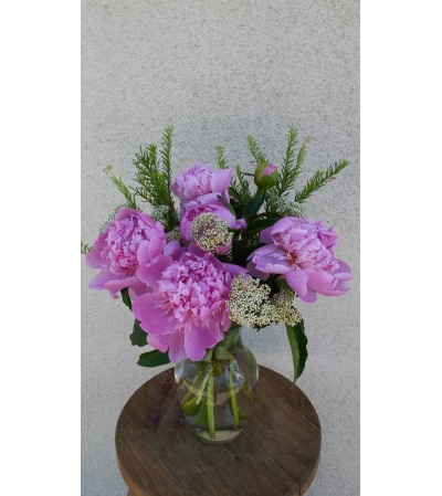 Peony Dream Peony Dream