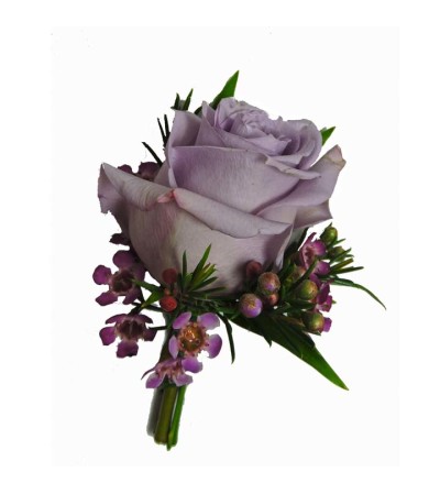 Love of Lavender Rose Love of Lavender Rose