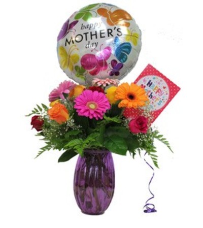 Super Mom Combo Super Mom Combo