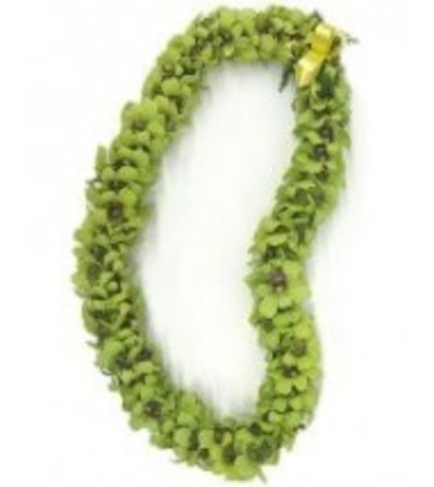 Double Green Dendro lei Double Green Dendro lei
