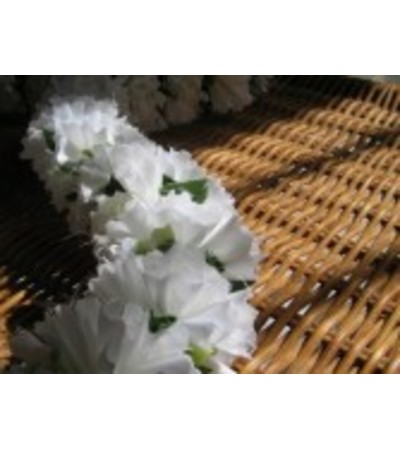 Double white carnation lei Double white carnation lei