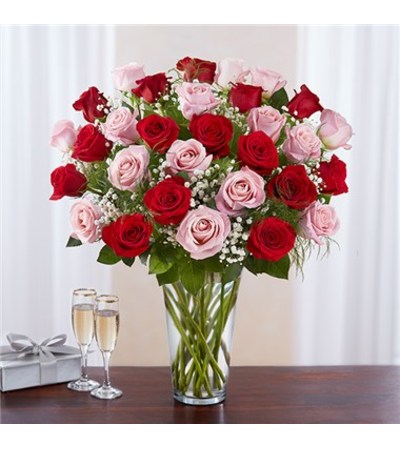 Long Stem Pink & Red Rose Bqt Long Stem Pink & Red Rose Bqt