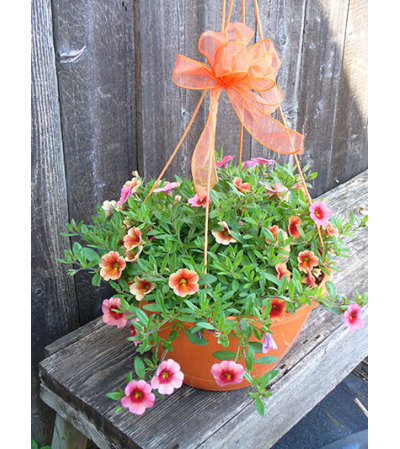 Trixi Hanging Basket Trixi Hanging Basket