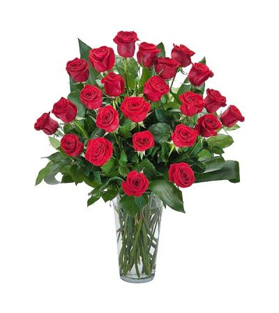 Grande Roses DW Grande Roses DW