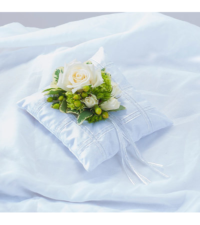 Elegant Pillow Elegant Pillow