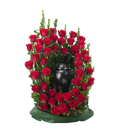 Royal Rose Surround DW Royal Rose Surround DW