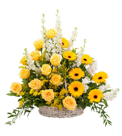 Ray of Sunshine Basket Tribute DW Ray of Sunshine Basket Tribute DW