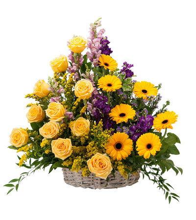 Vivid Memories Basket Tribute DW Vivid Memories Basket Tribute DW