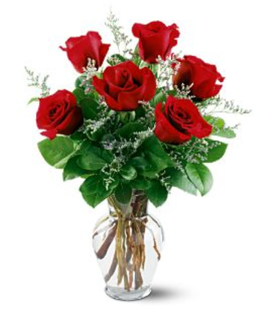 6 Red Roses 6 Red Roses