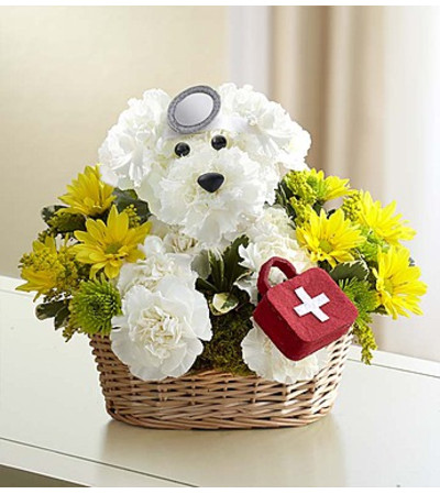Doggie Howser M.D.™ Doggie Howser M.D.™