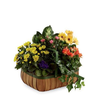 The FTD® Gentle Blossoms™ Basket The FTD® Gentle Blossoms™ Basket