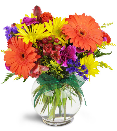 Sunglow Blooms™ Sunglow Blooms™