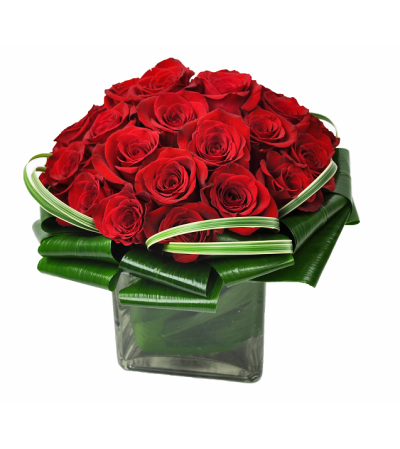 Red Rose Velvet Red Rose Velvet