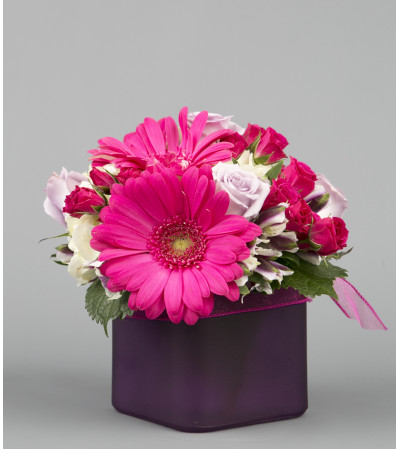 Joyful Pink Joyful Pink