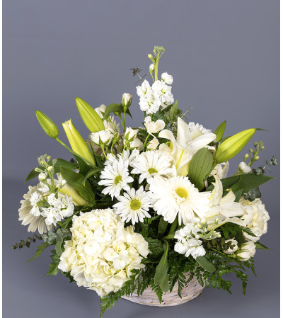Brightest Whites Brightest Whites