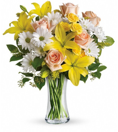 Teleflora's Daisies and Sunbeams Teleflora's Daisies and Sunbeams
