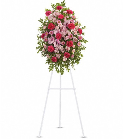 Pink Tribute Spray Pink Tribute Spray