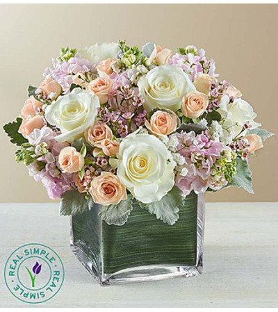 Spring Medley™ by Real Simple® Spring Medley™ by Real Simple®