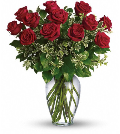 Always on My Mind - Long Stemmed Red Roses Always on My Mind - Long Stemmed Red Roses