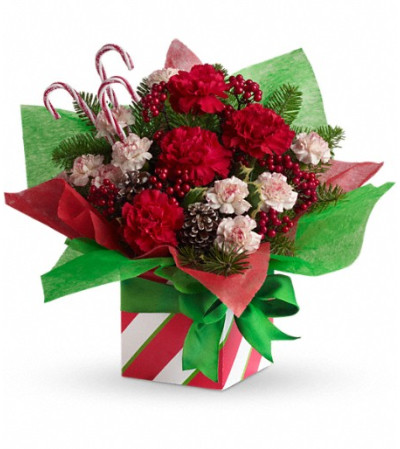 Teleflora's Christmas Present Perfect Teleflora's Christmas Present Perfect