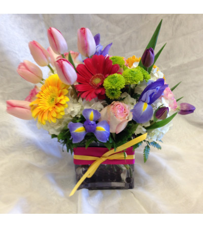 spring wishes spring wishes