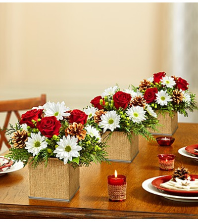 Colors of Christmas Centerpiece Colors of Christmas Centerpiece