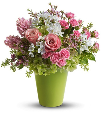 Enchanted Blooms Enchanted Blooms